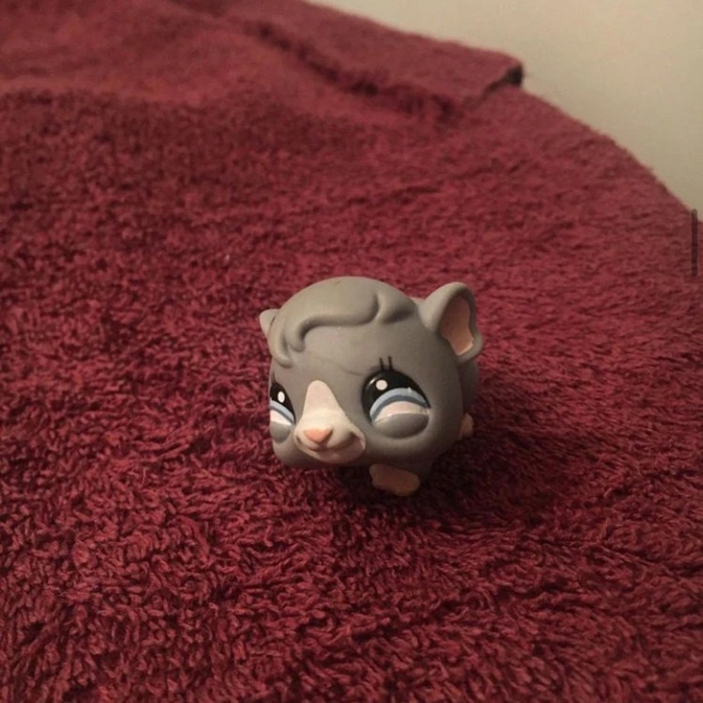 LPS Grey guinea pig